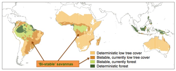Map of Bi-stable savannas