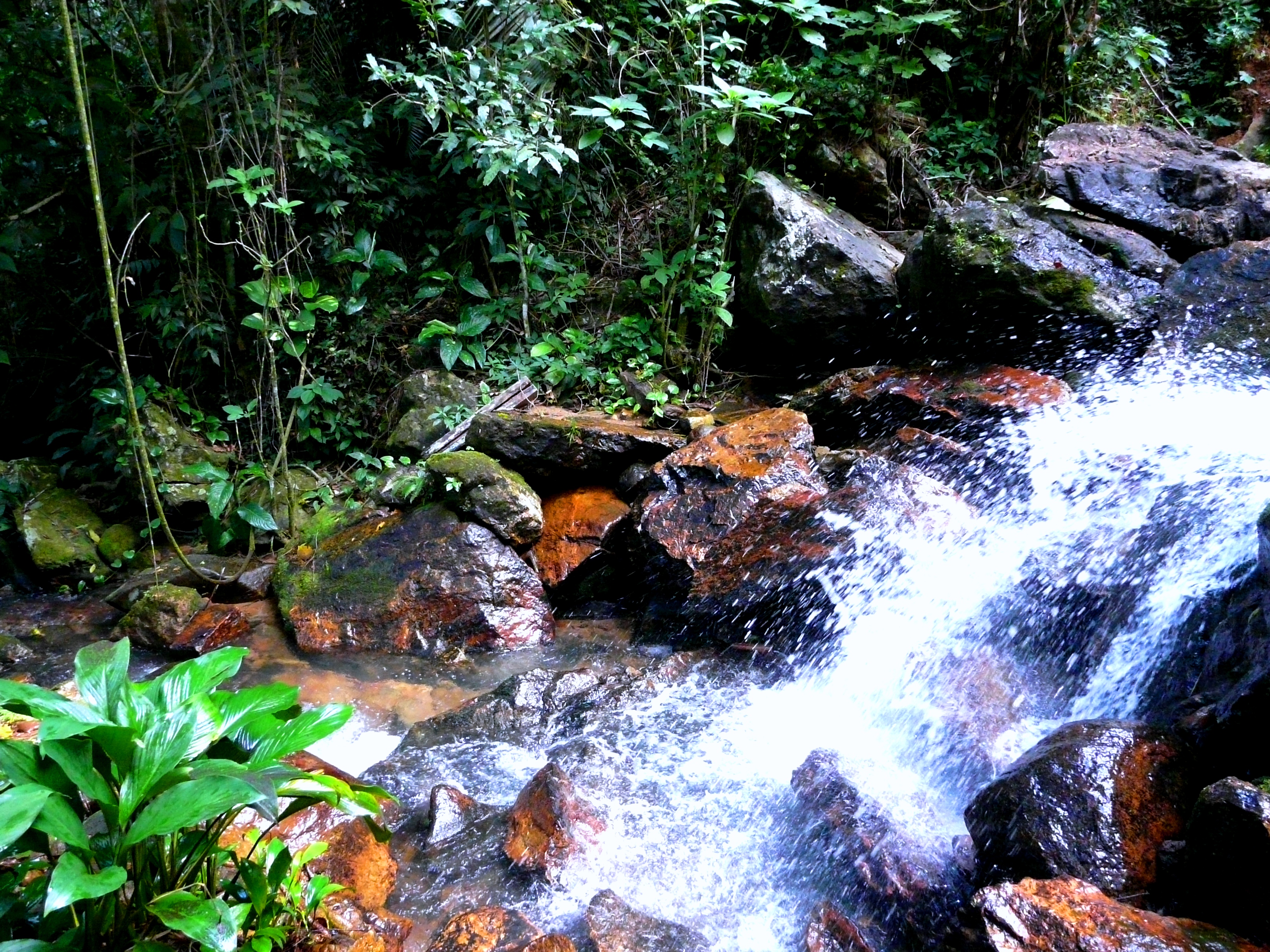 Water flowing through creek