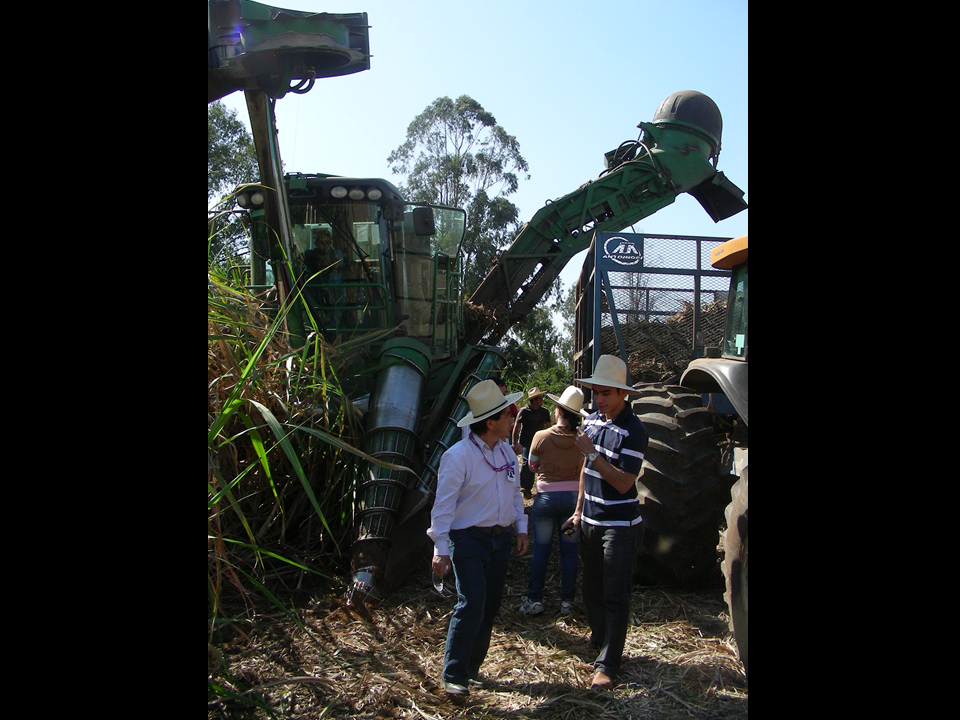 Sugarcane harvester