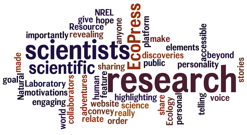 NREL wordle