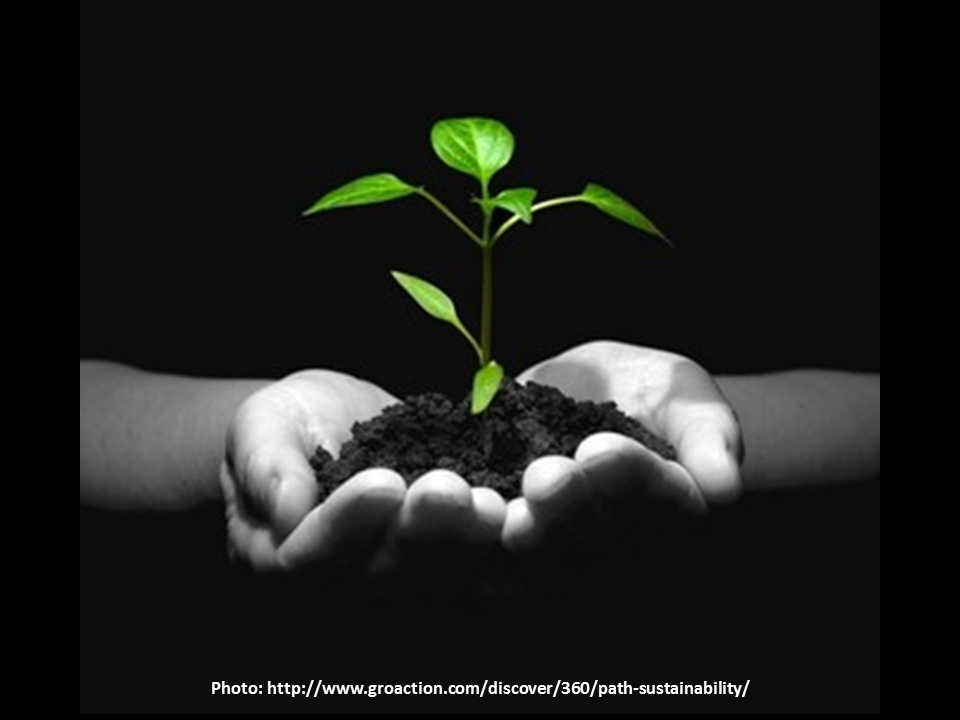 Hands holding plant