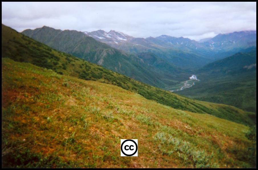 Brooks Range AK, hillside