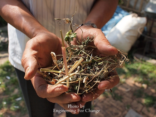 Biochar sample in hands