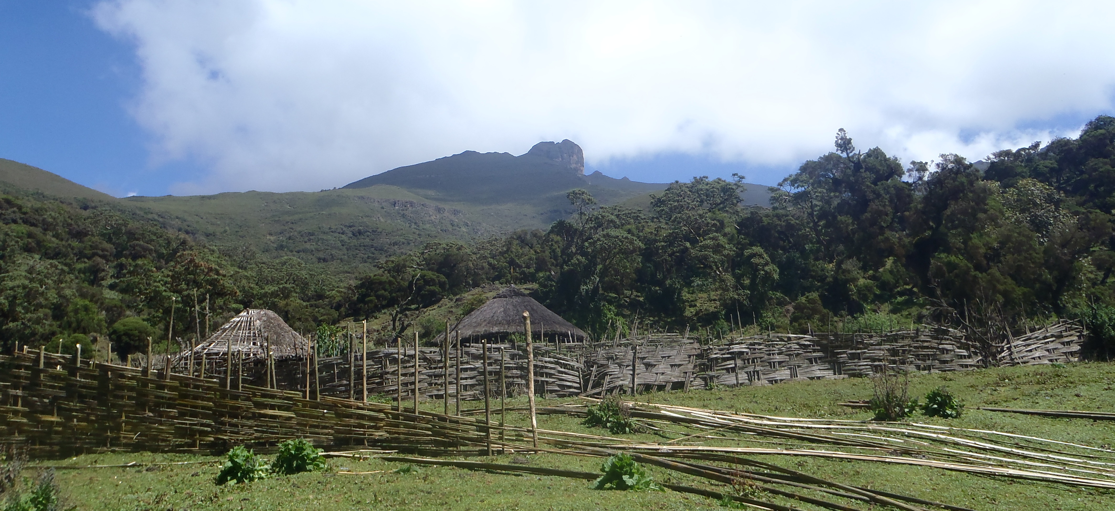 Bale Mountains National Park, Ethiopia