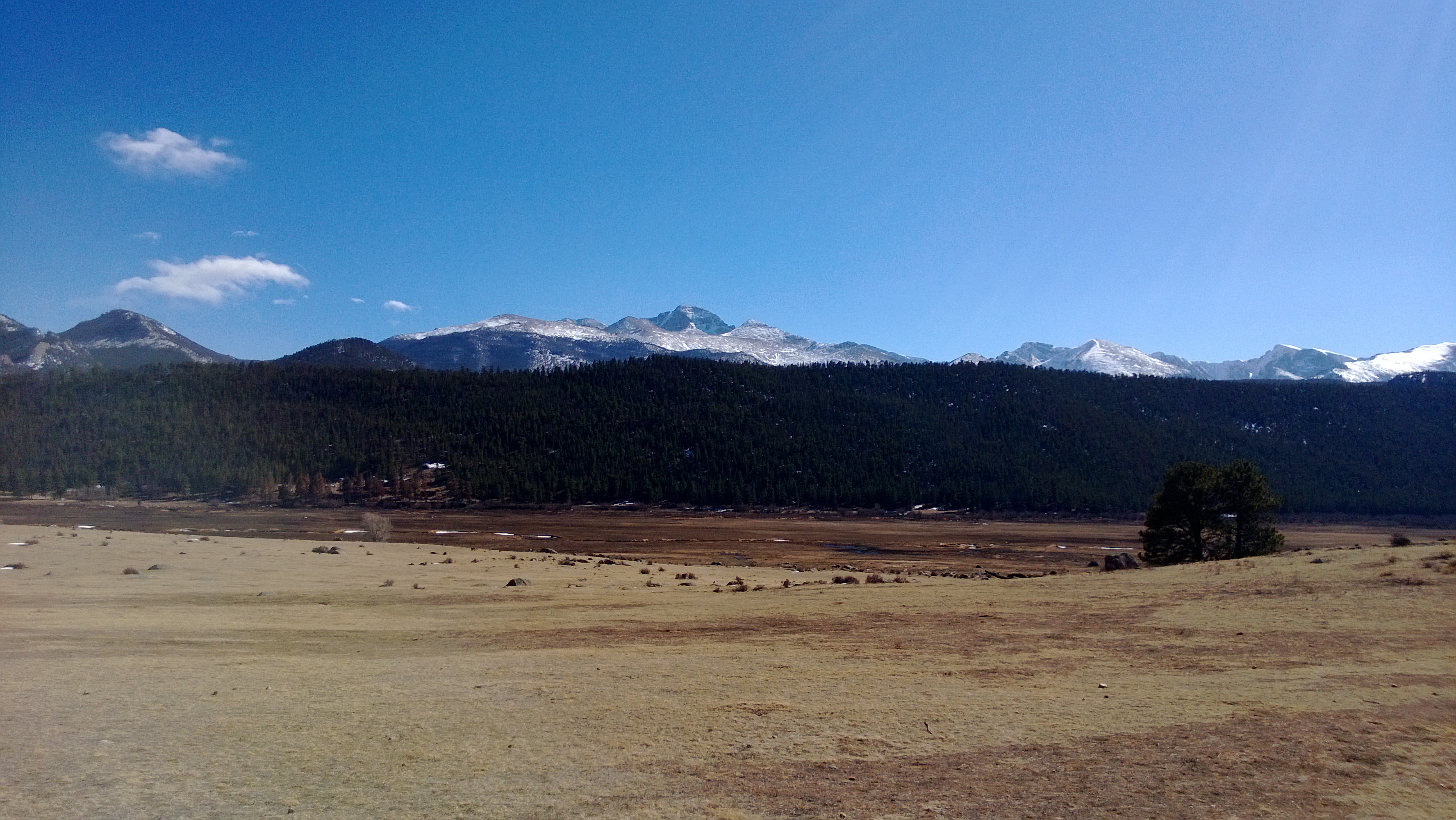 Post-Fern Lake Fire, Moraine Park Burn Scar, Rocky Mountain National Park. March 31, 2013