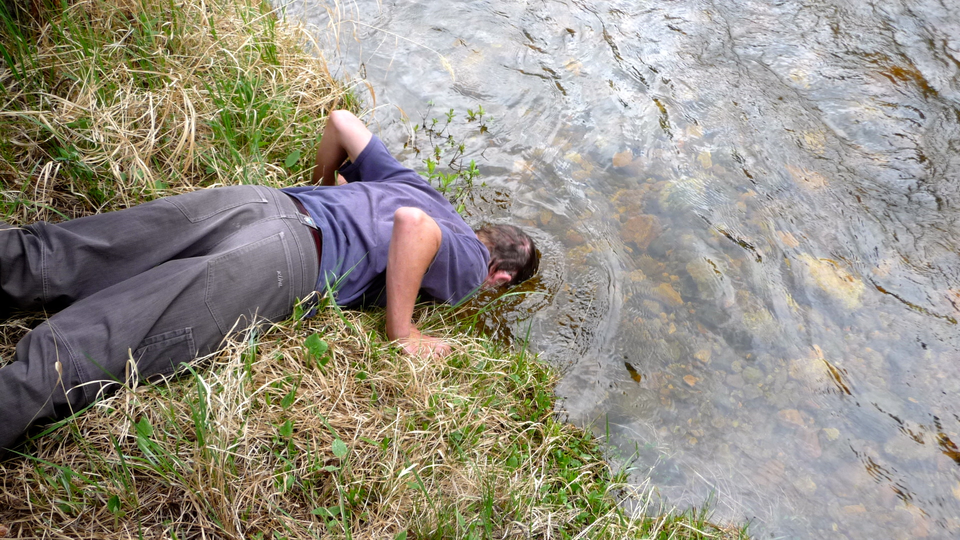 Tony Vorster dunks his head in St. Louis Creek at the Fraser Experimental Forest