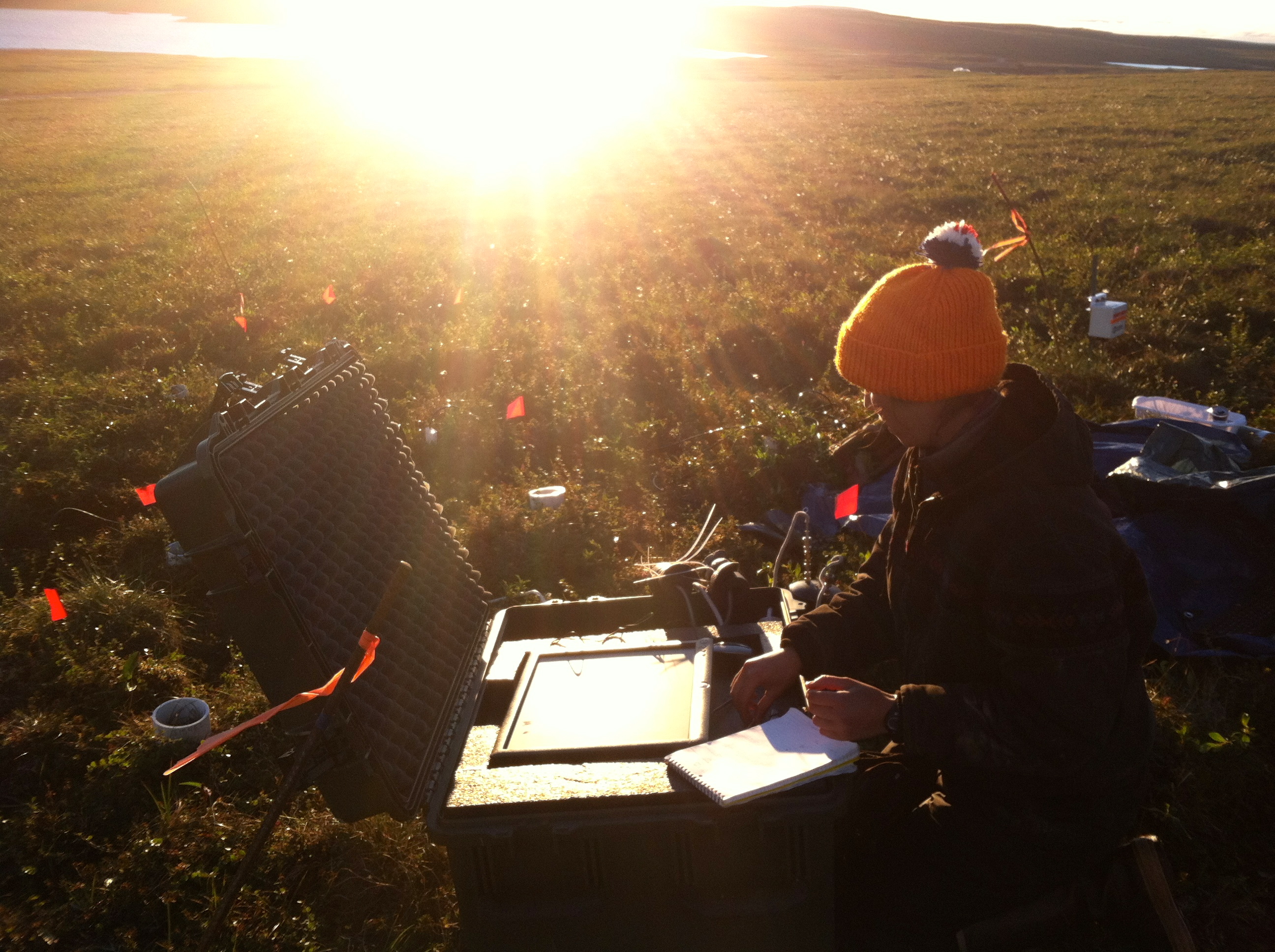 Laurel Lynch taking early morning gas samples, Toolik Lake Research Station, Alaska