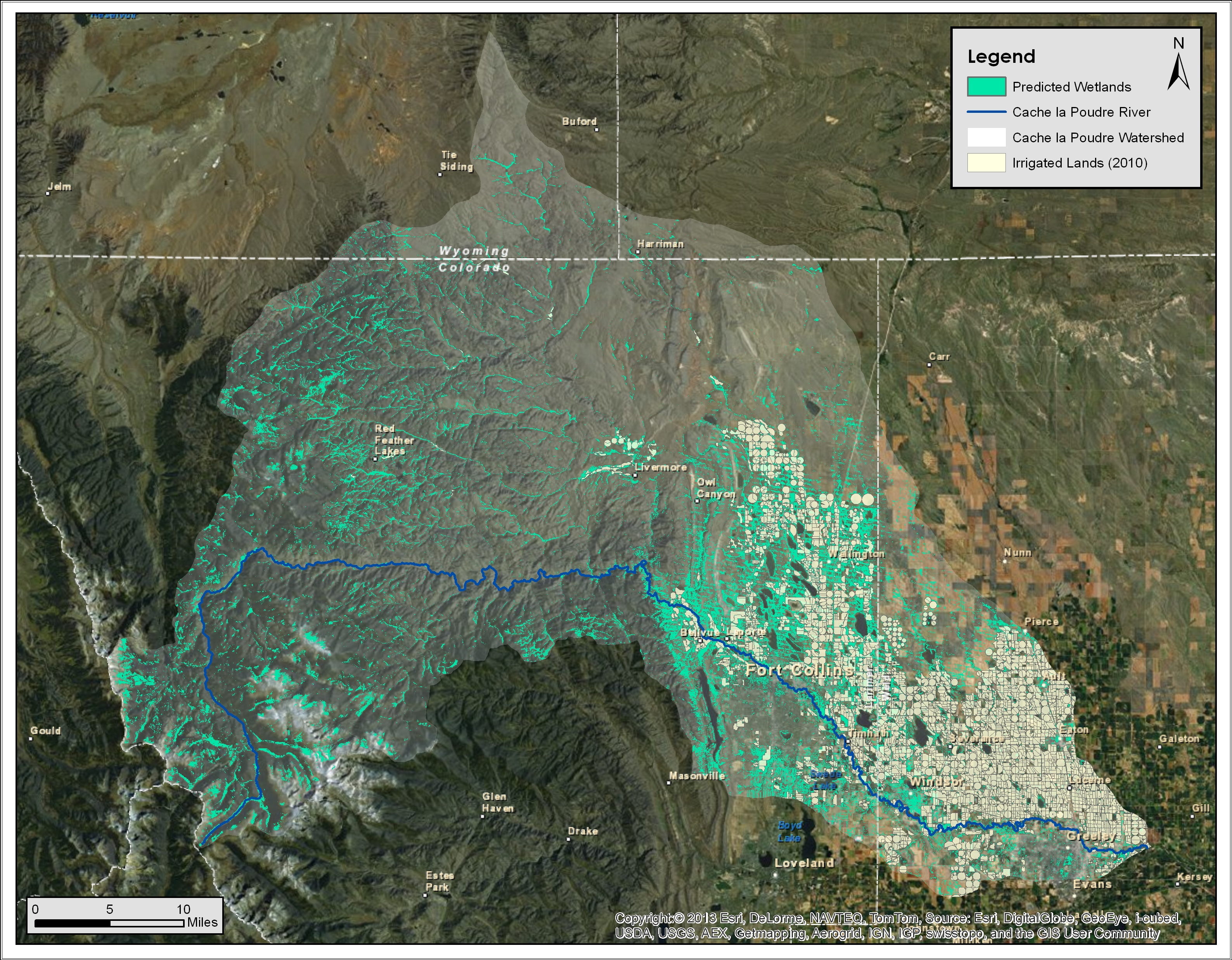 Model output predicting palustrine wetlands locations in the Cache la Poudre