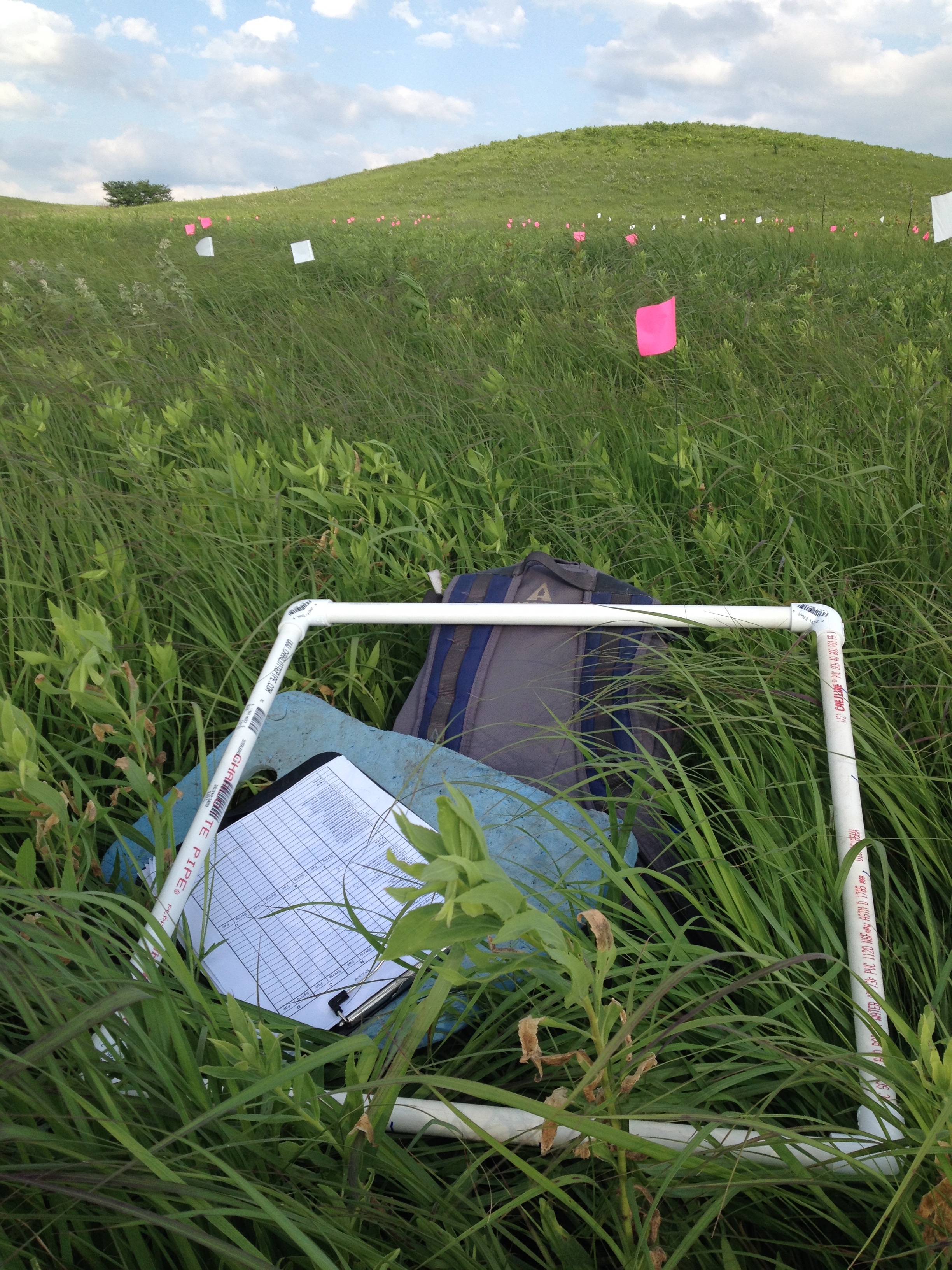Andrew Felton in the field at the Konza Prairie