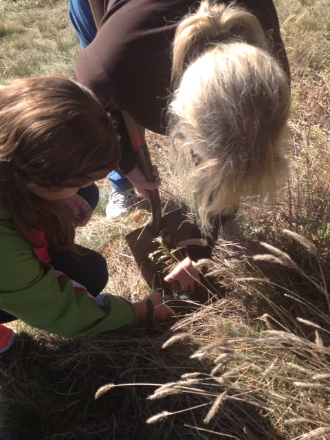 A Preston student takes soil temperature while Mrs. Laslzo takes a soil sample.