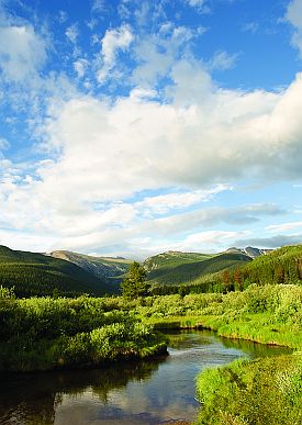 High mountain stream
