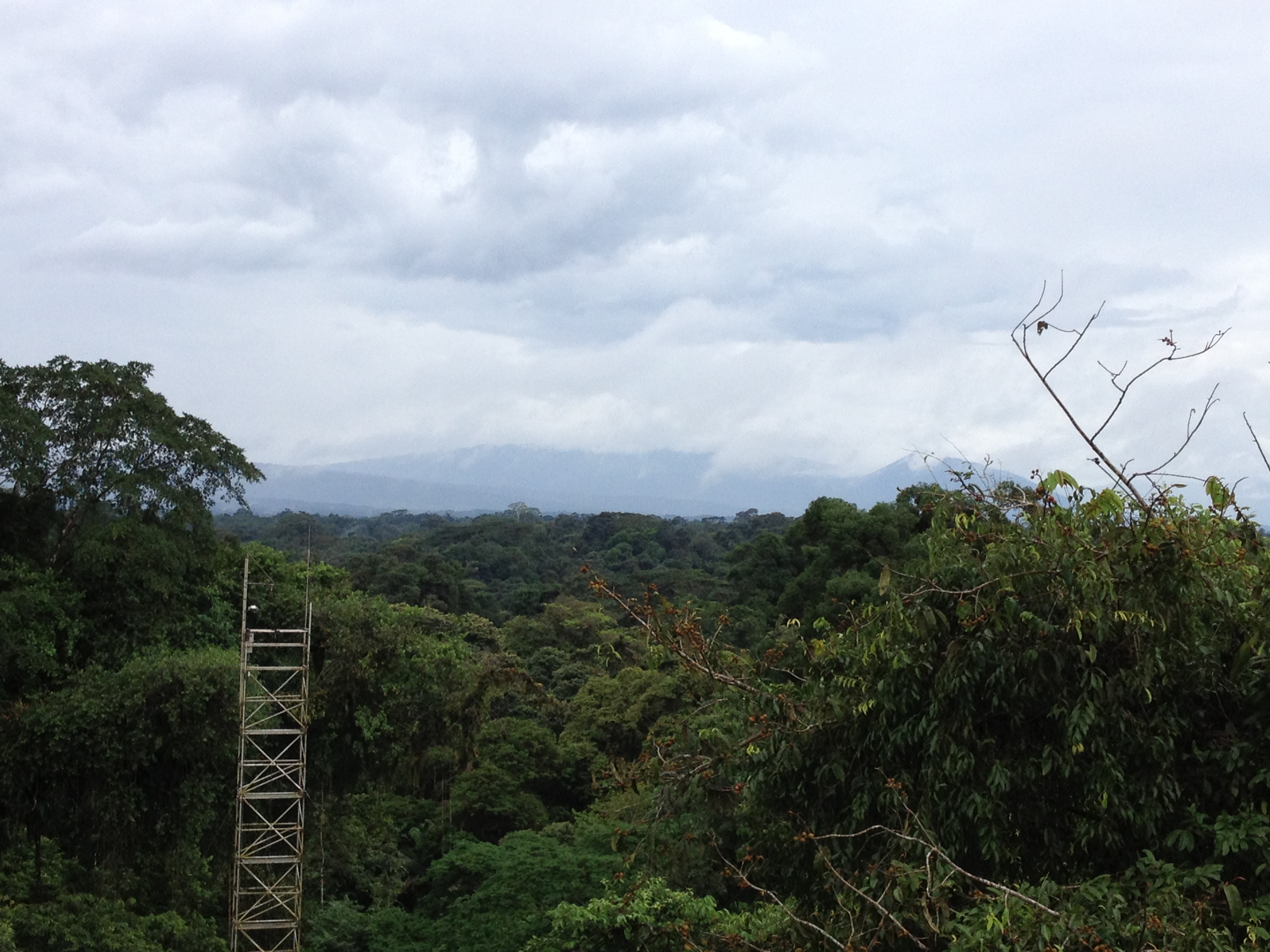 Eddy covariance tower in Costa Rica
