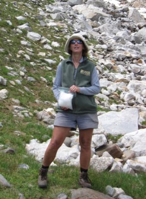 Jill Baron sampling at RMNP