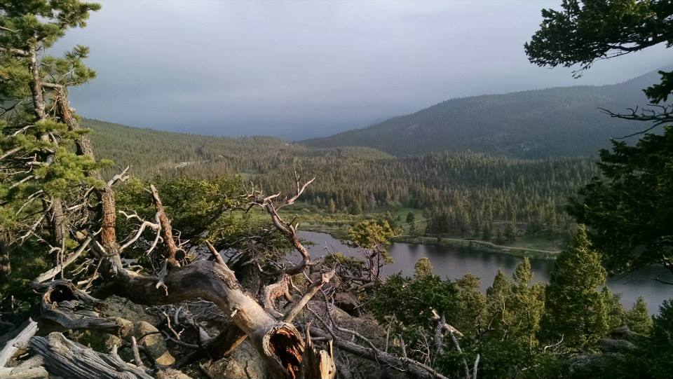 View above Bear Lake in RMNP