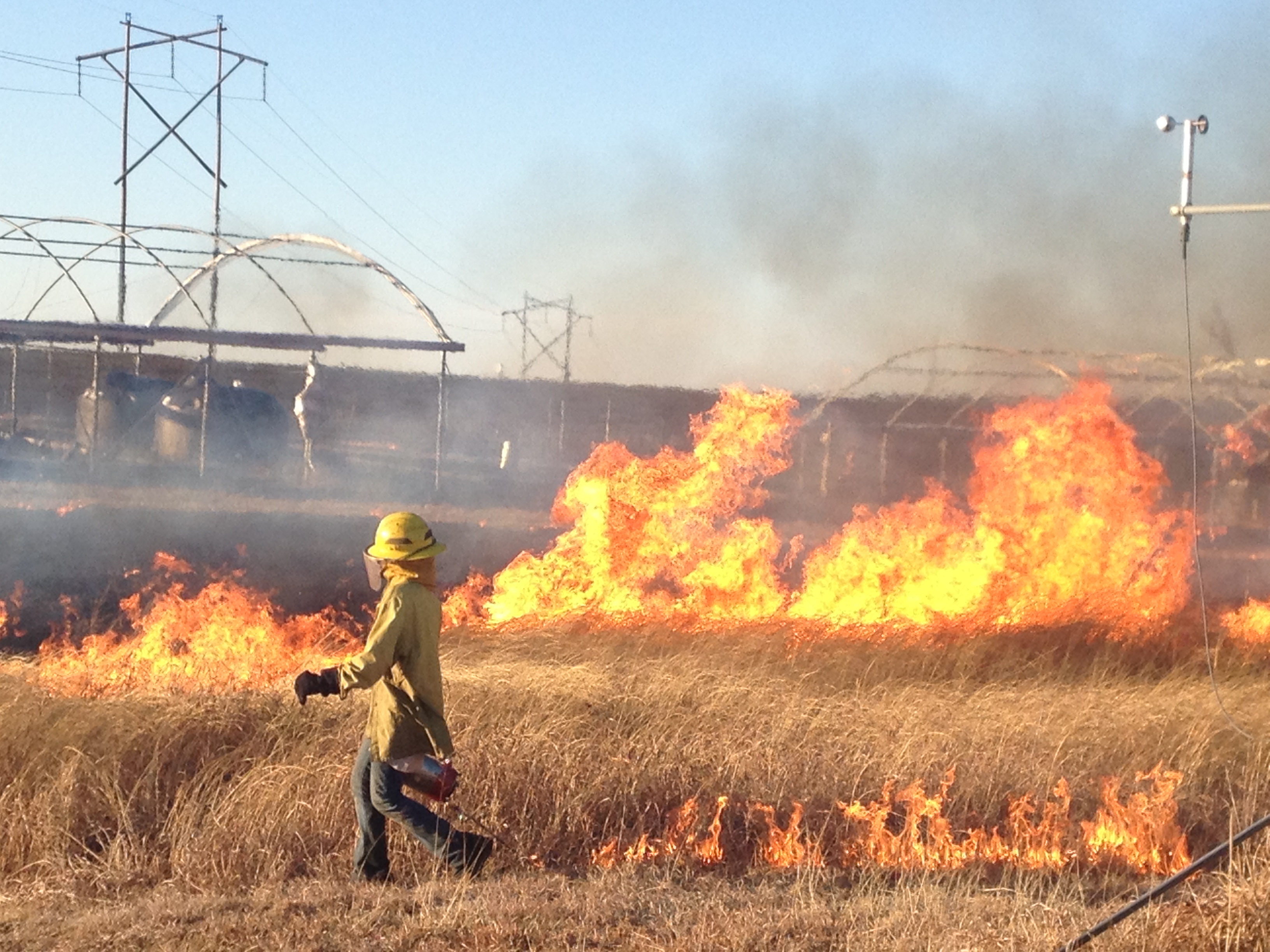 Researcher sets controled burn at Konza Prairie Biological Station