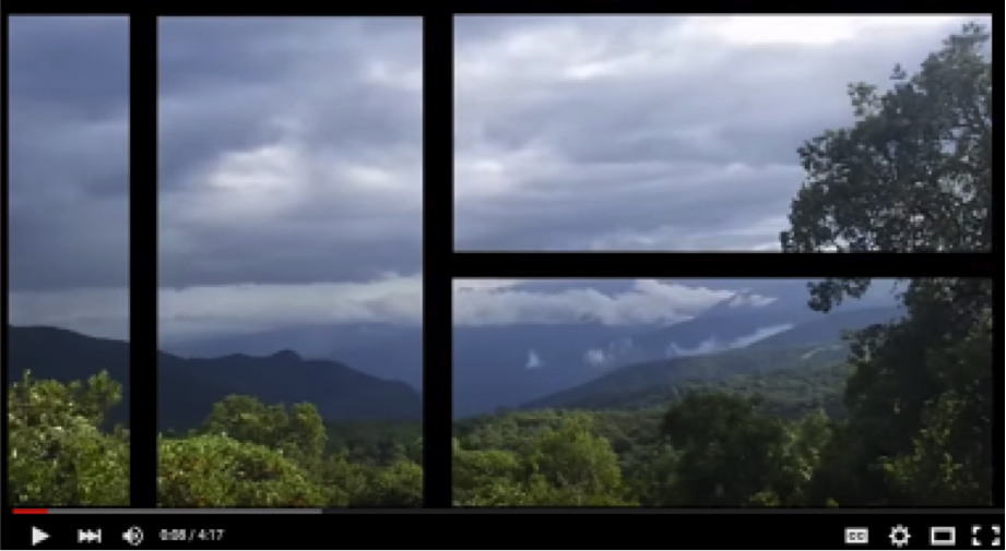 Screen shot of video analysis landscape