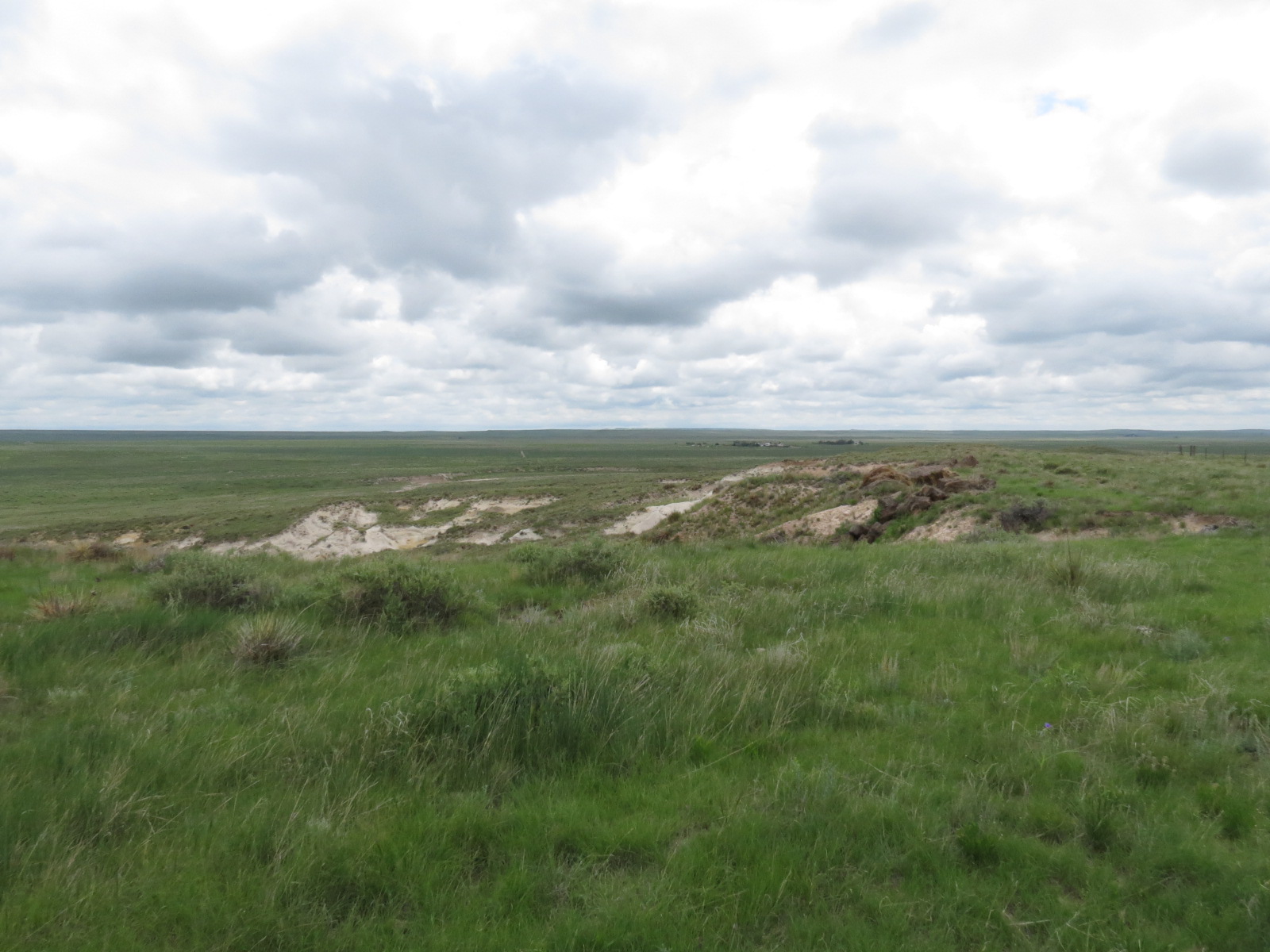 Pawnee National Grasslands, view from to of hill in spring