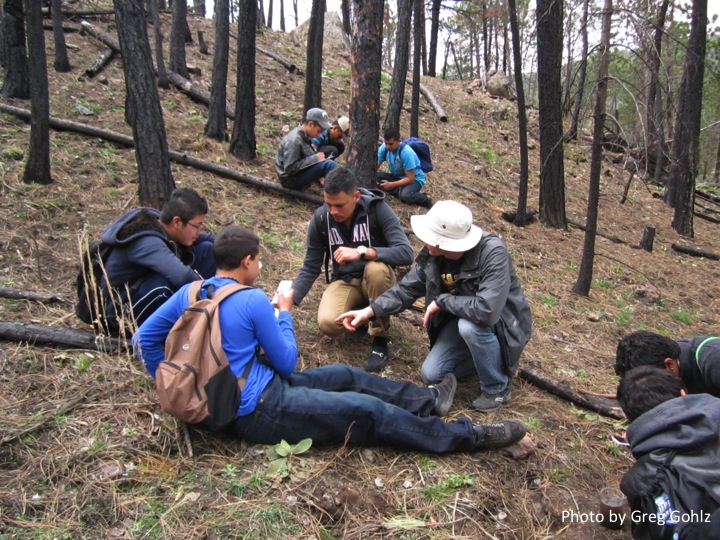 Collection data at forest site