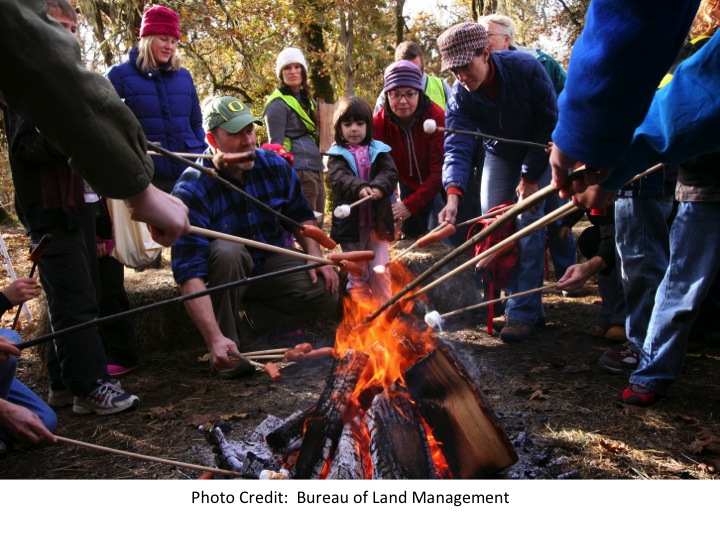 Group roasting marshmallows on a fire.