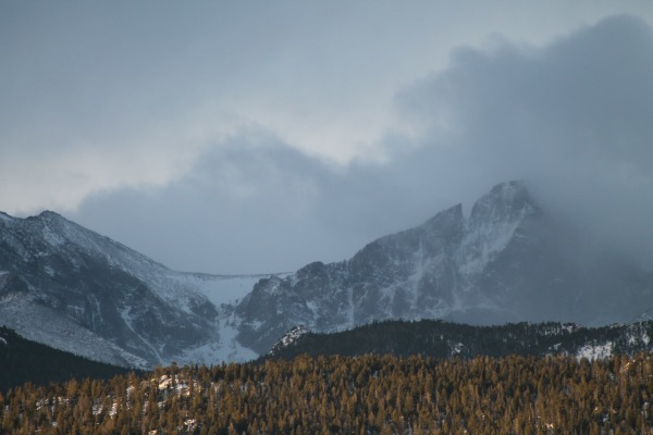 Header Image