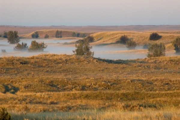 Header Image