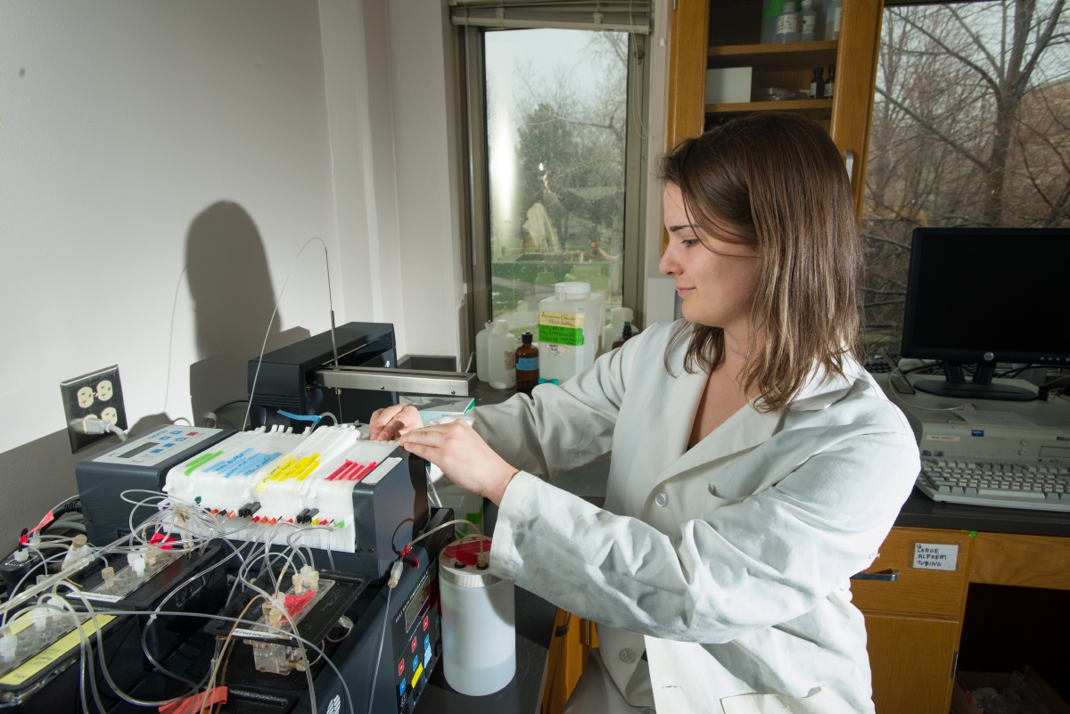 Students and Research Associates do analysis at the EcoLab
