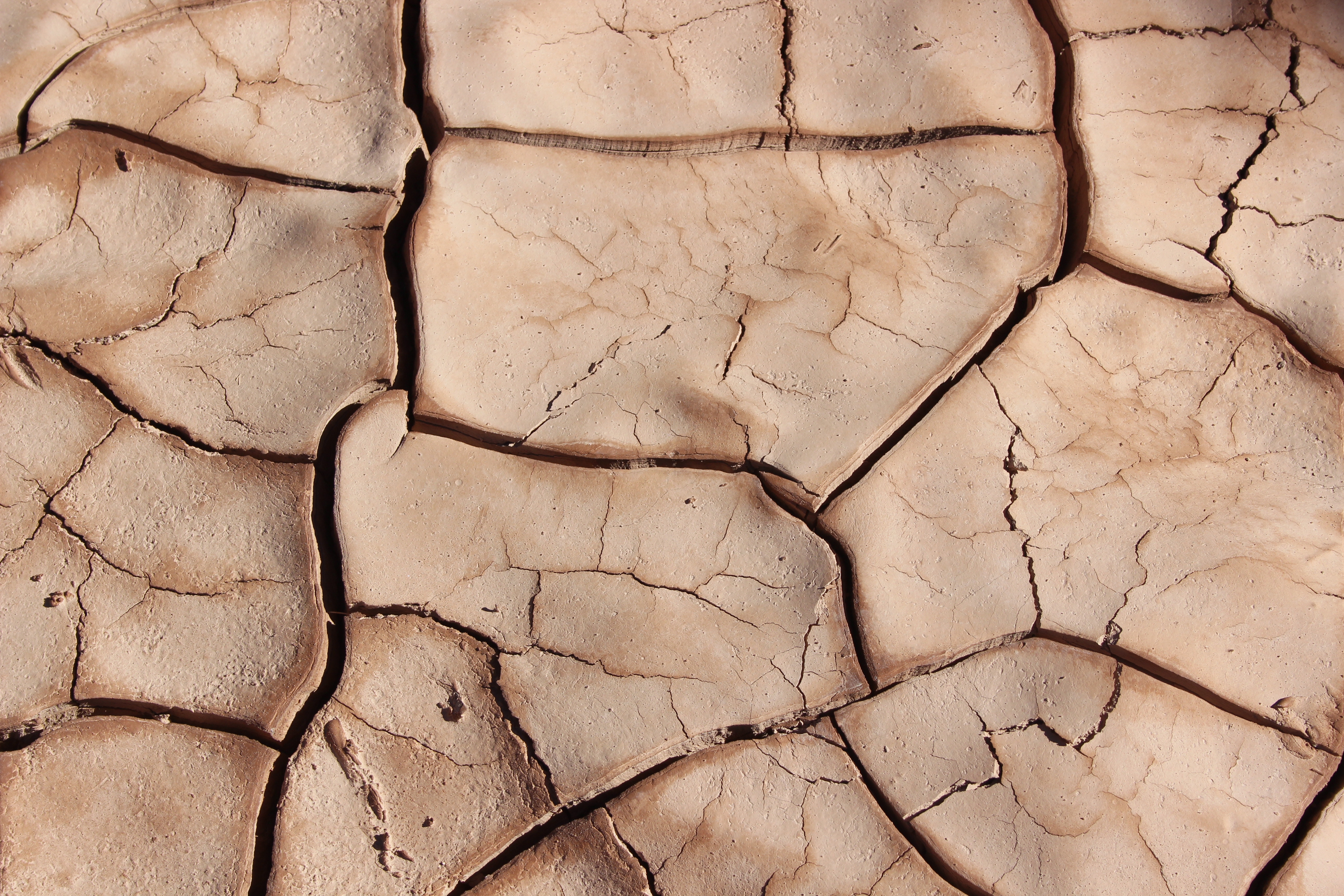 cracked soil, an indication of drought