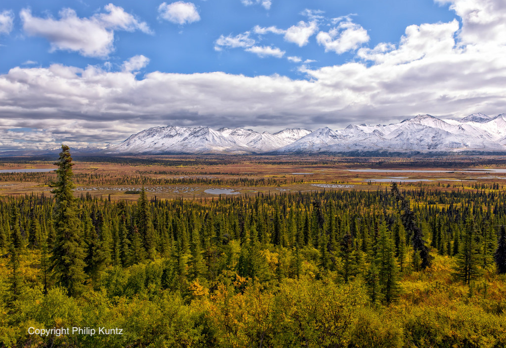 Landscape photo of Alaskan tundra