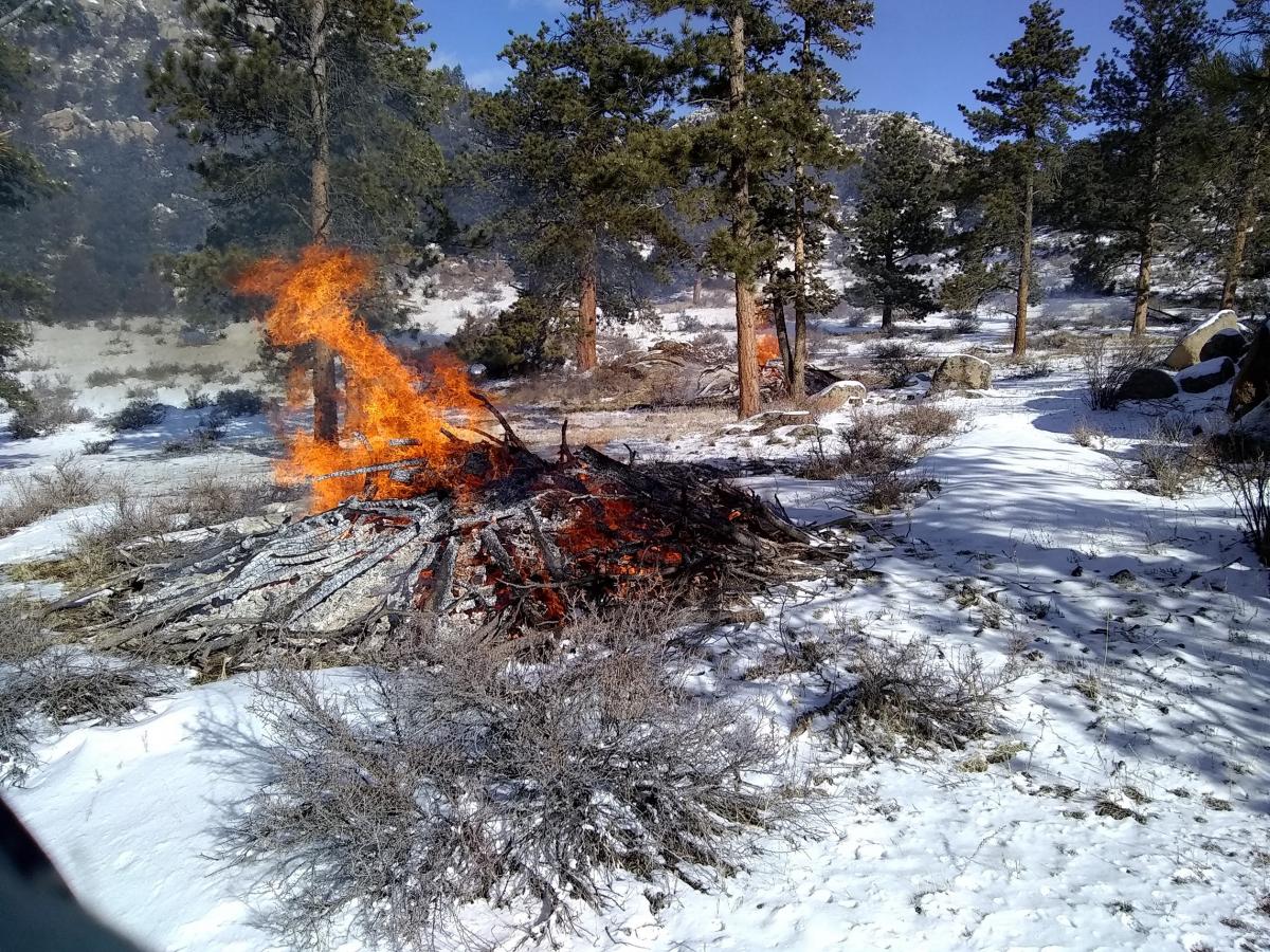 Slash pile of woody debris on fire