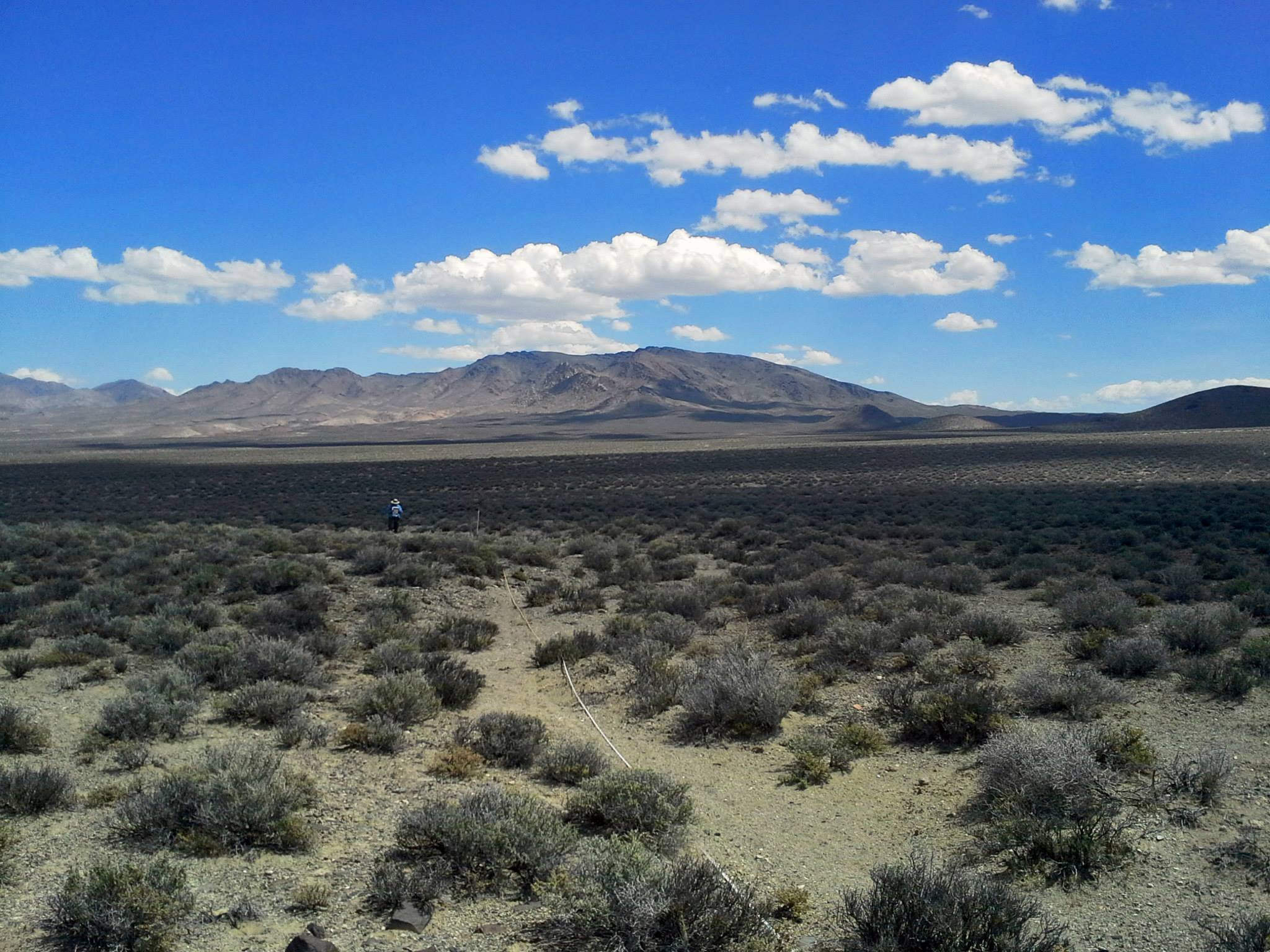 Nevada salt desert scrub