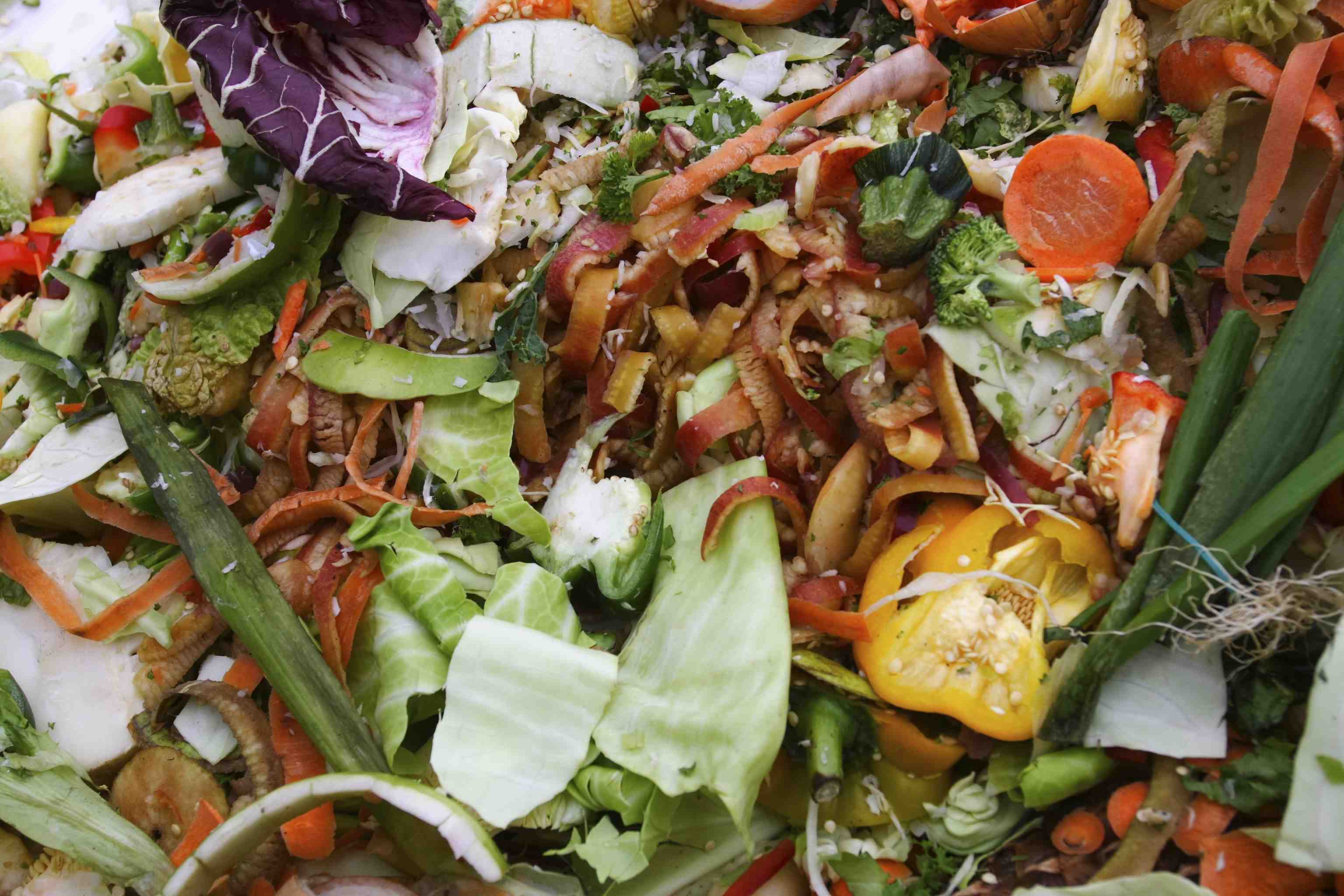 vegetable garbage