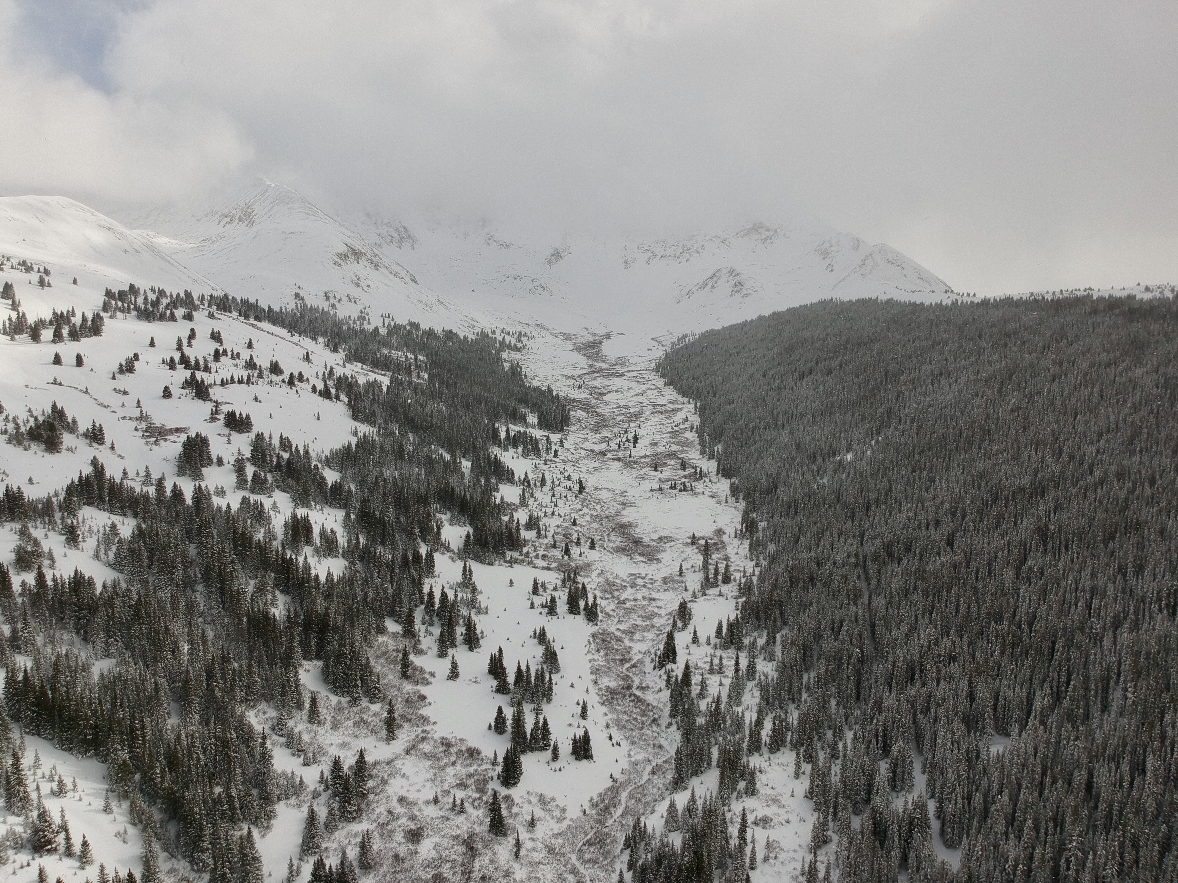 Colorado alpine forest with snow