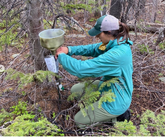 Katie Rocci setting up equipment to measure N isotopes