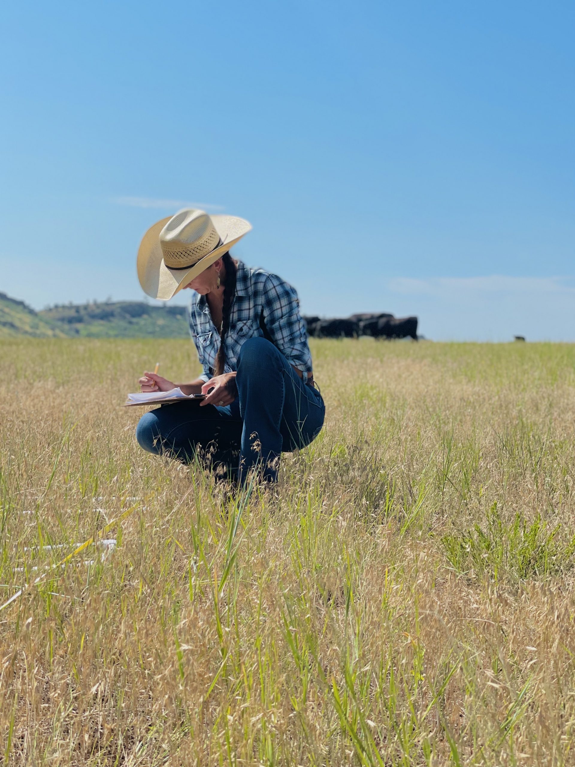 Monlezun at work placing transect markers in Coalton Trail Open Space, Boulder Co.