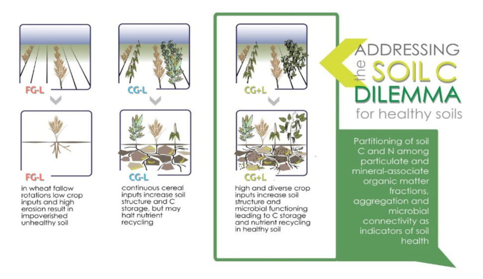 Crop rotation alternatives