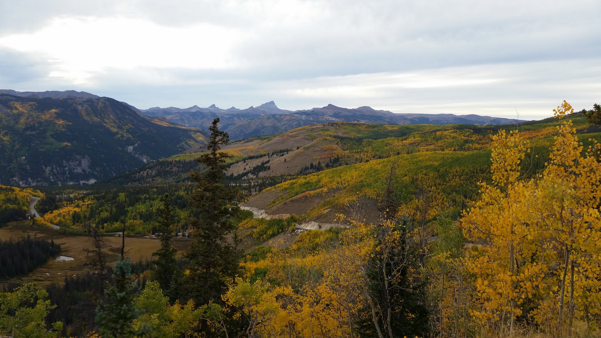 Changing trees in Aspen, Colorado