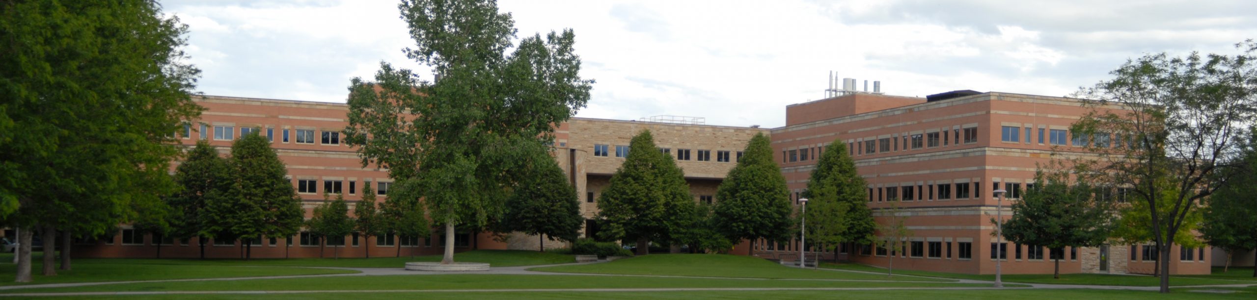 NESB Building