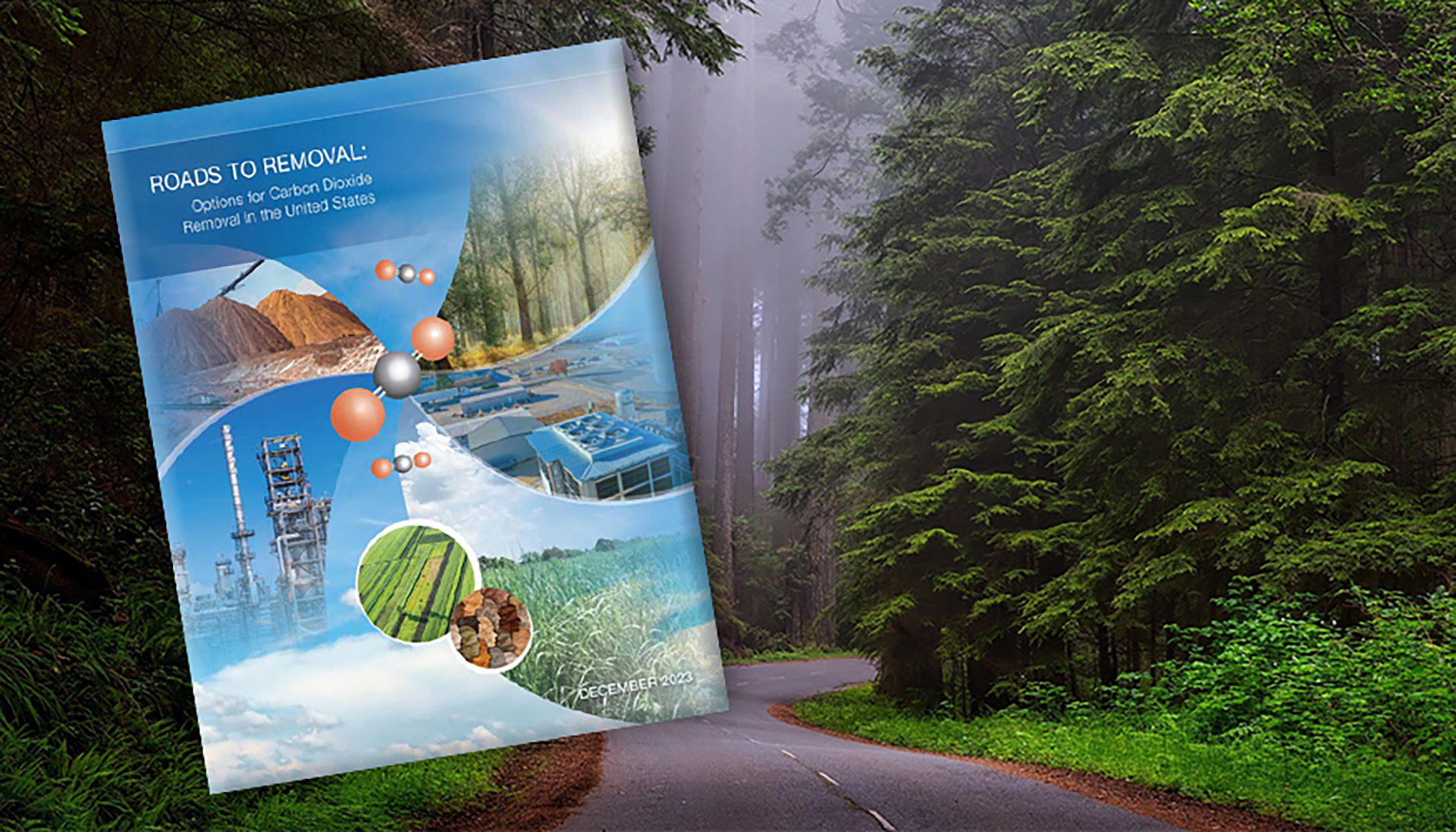 Roads to Removal book cover