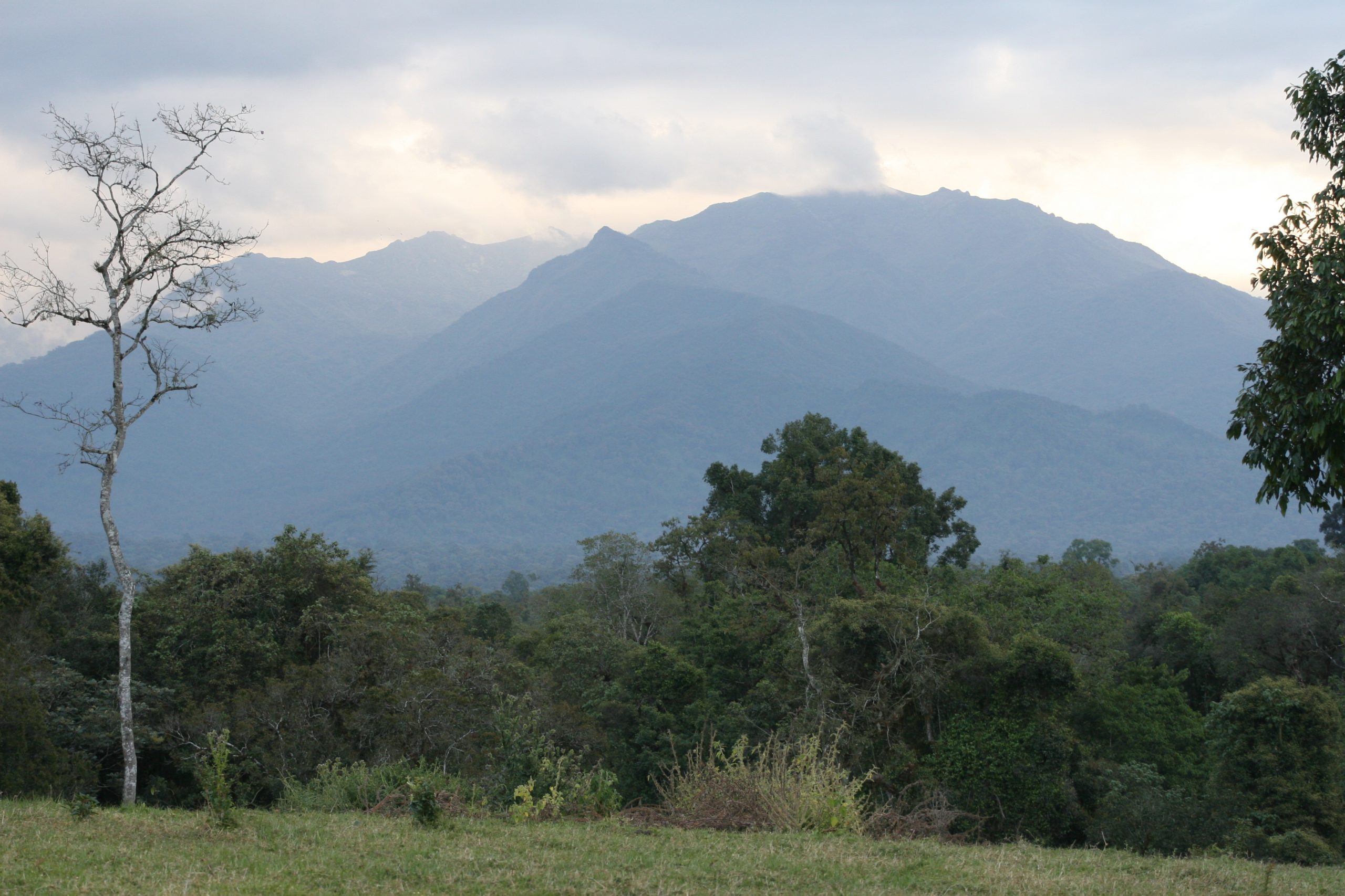 Mountains in Ethiopia