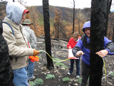 Researchers making post fire measurements