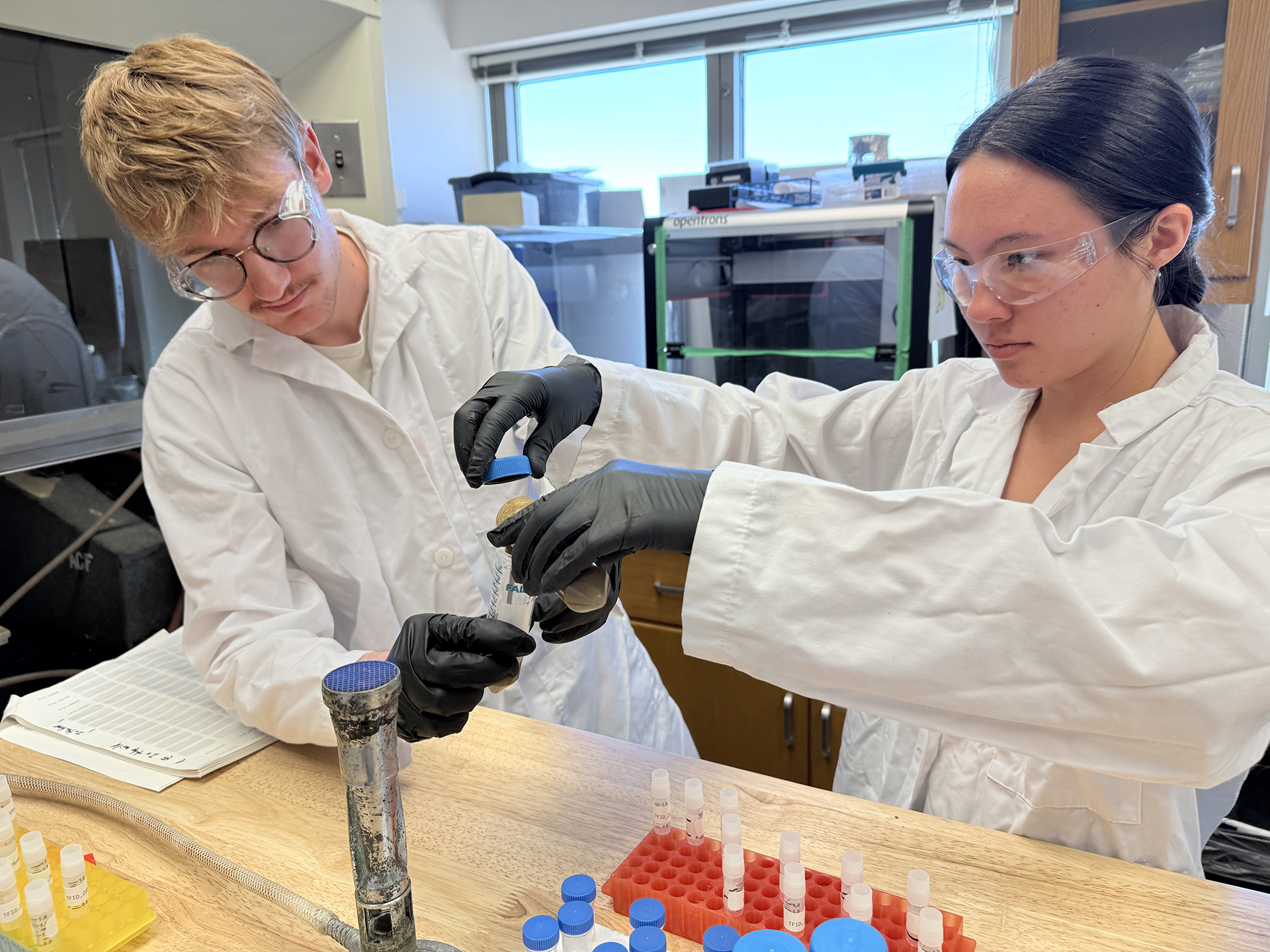 Students processing an extremophile sample in the Natural Resource Ecology Laboratory.
