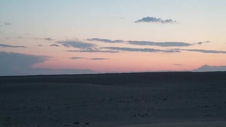 The Mongolian steppe. Image: Wikimedia Commons (CC0, public domain) 