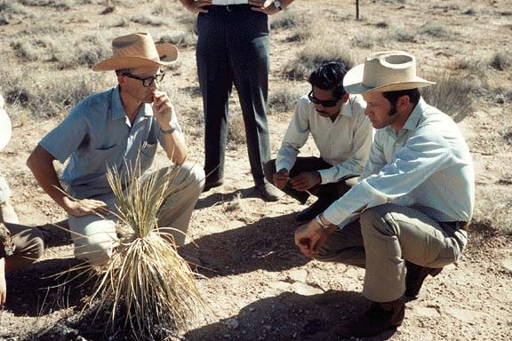 Three researchers standing at the Jornada IBP grassland site in 1971: Rex Pieper, Jai Singh, and NREL founding director George Van Dyne.