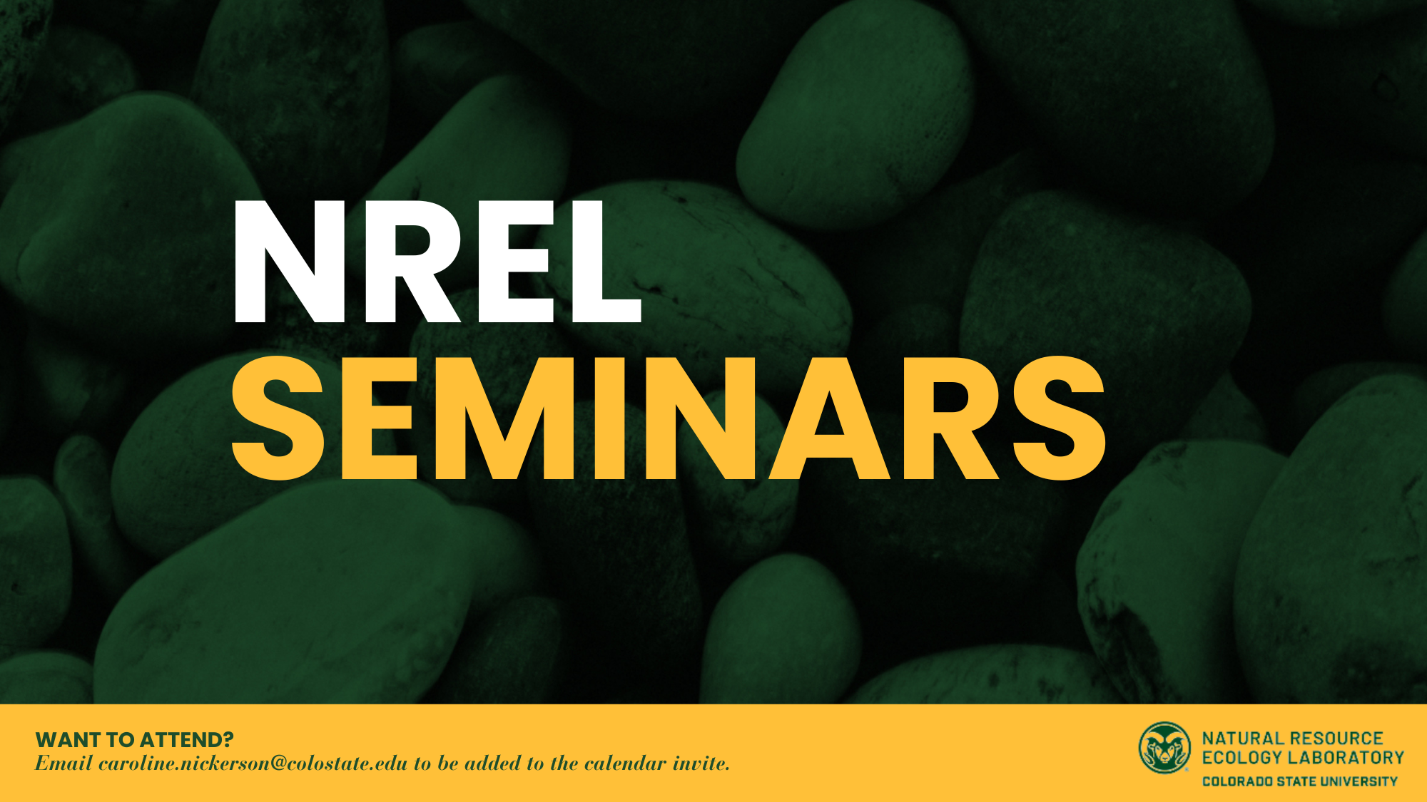 NREL seminars 2026